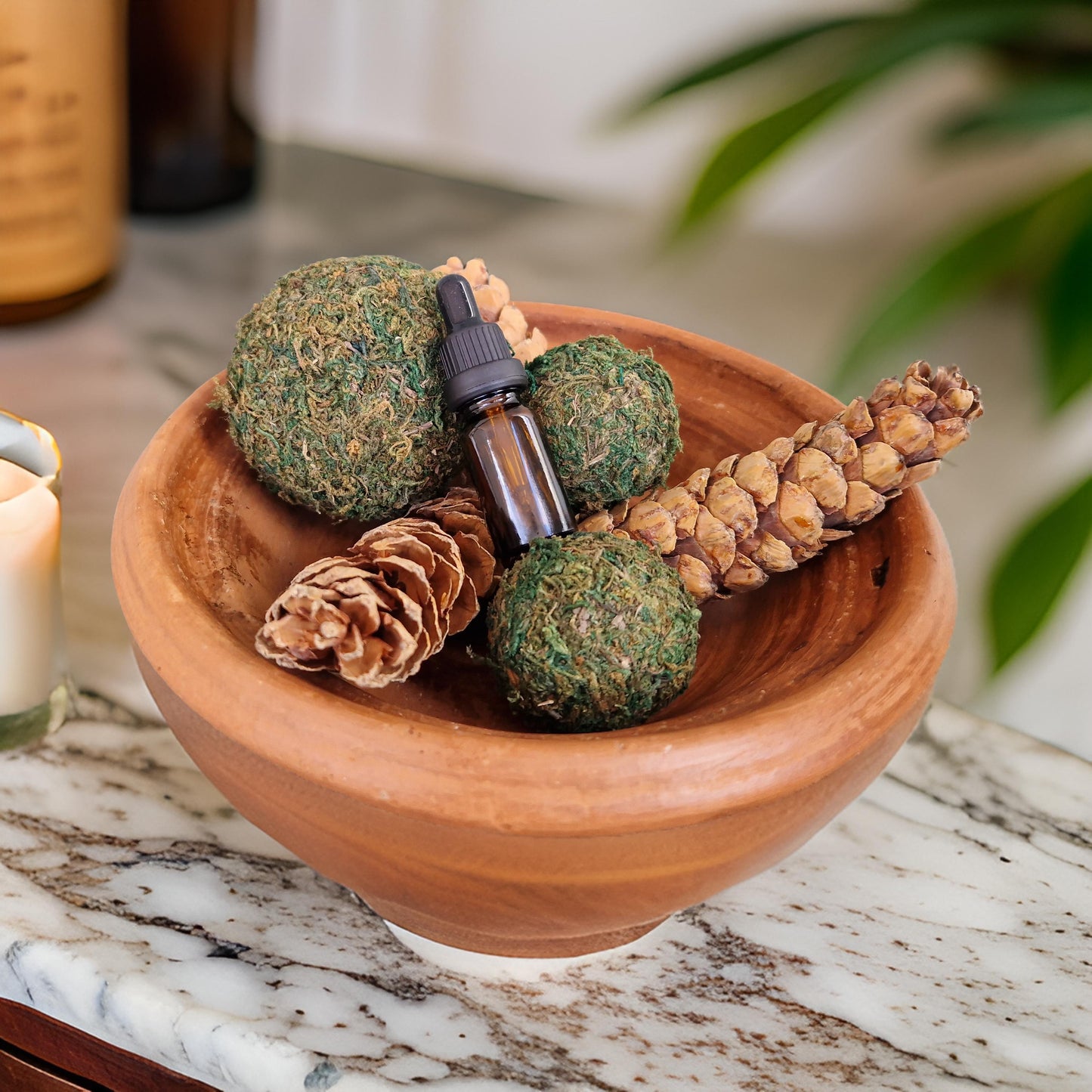 Natural Pine Cone & Moss Ball Potpourri with Scent Dropper