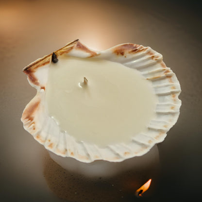 scallop shell candle