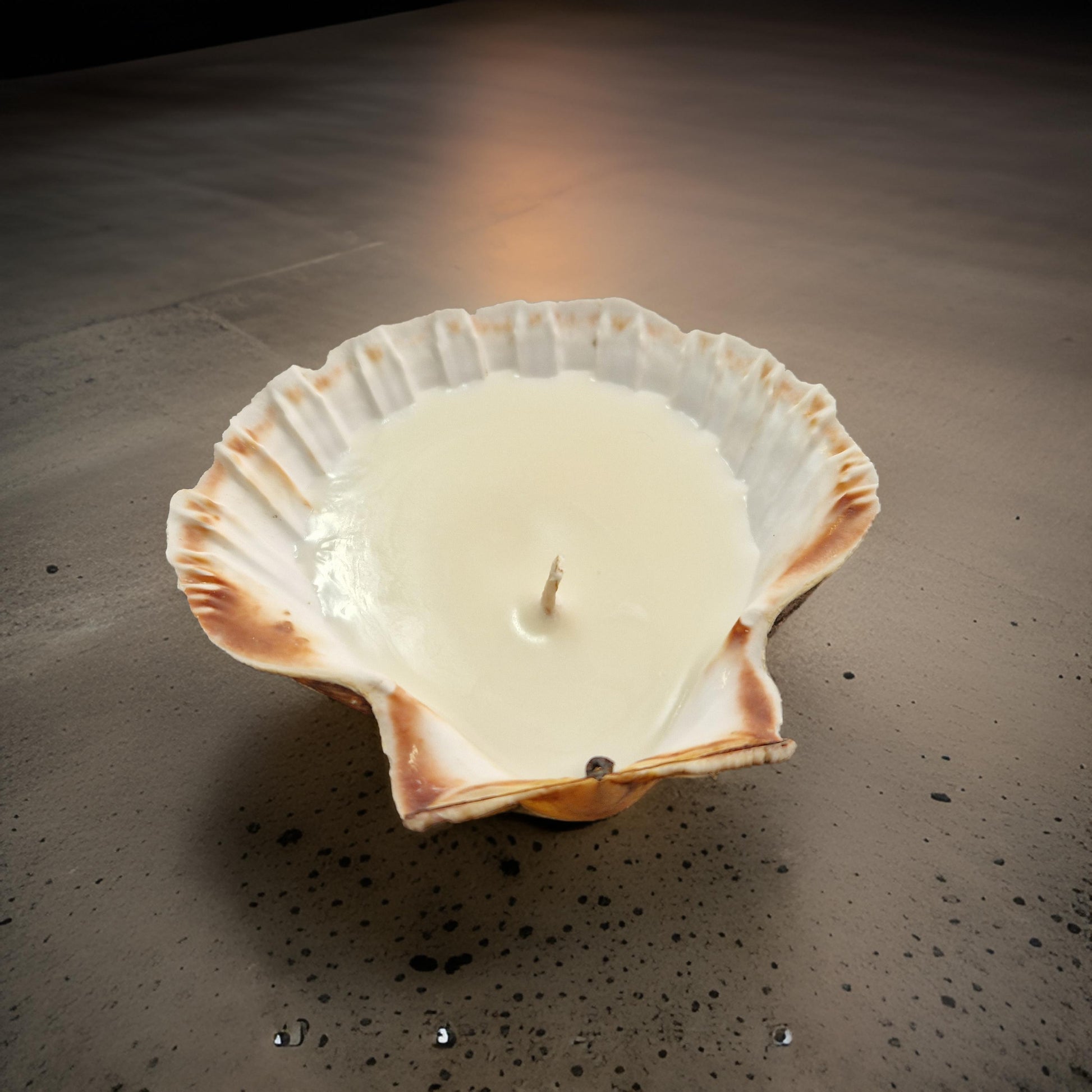 scallop shell candle